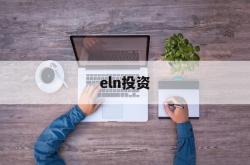 eln投资(ELN是什么投资产品)